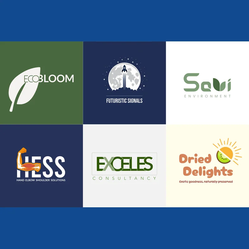 Custom professional logo design for brand identity